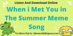 When i Met You in The Summer Meme Song Listen & Download