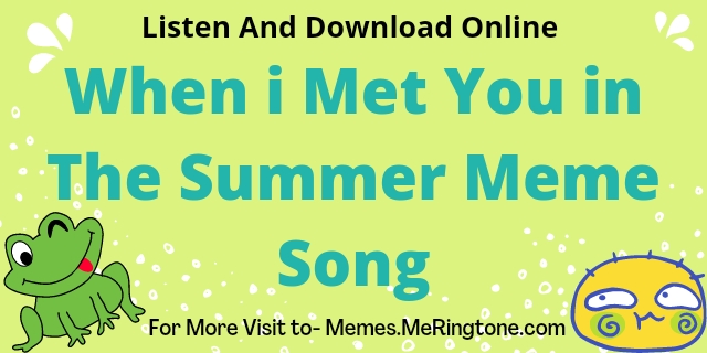 When i Met You in The Summer Meme Song