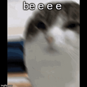 Wawa Cat Memes