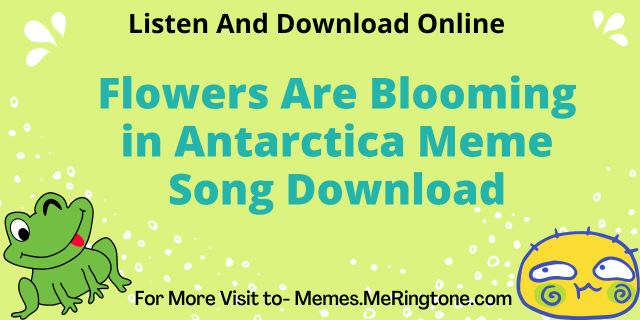 Flowers Are Blooming in Antarctica Meme Song